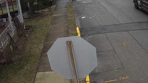 UPS delivers to Balcony steps in flower bed