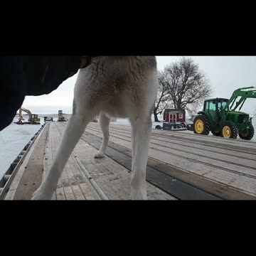 TRACKS #ourtruckinglife #truckdrivers #reallifetruckers #truckdriver #atruckerslife #trucker