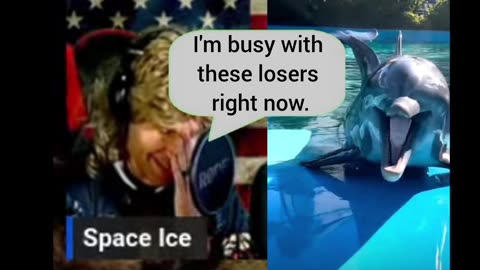 Space Ice Speaks Dolphin