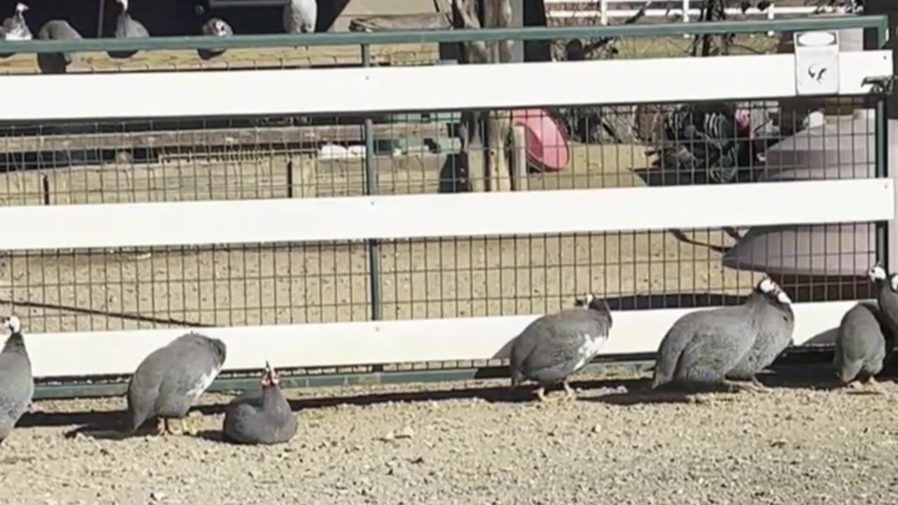 Gates are so confusing