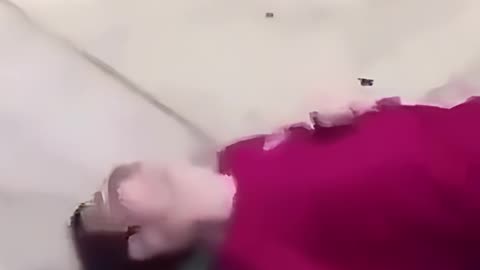 He was looking for trouble and found it