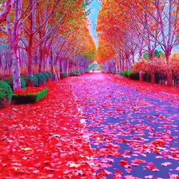 மனிதன் என்ற போர்வையில் மிருகம் வாழும் நாட்டிலே TMS LEGEND M.THIRAVIDA SELVAN SINGAPORE TMS FANS