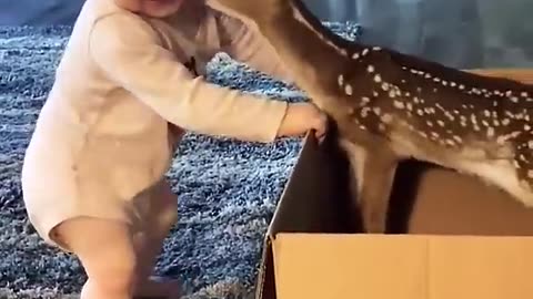 Cute deer😍