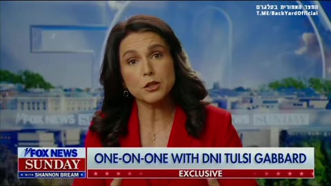 Tulsi Gabbard about the "freedom and democracy" under Zelensky