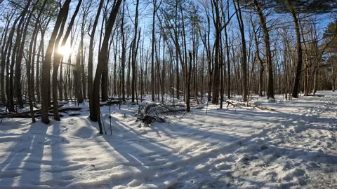 ❄️⛄🏂🎿 Winter Wonderland Edition ☀️🌴 Hiking Pinhey Forest Part 4 In Ottawa Canada 🍁☀️⛄