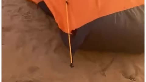 A SNAKE INSIDE A TENT...