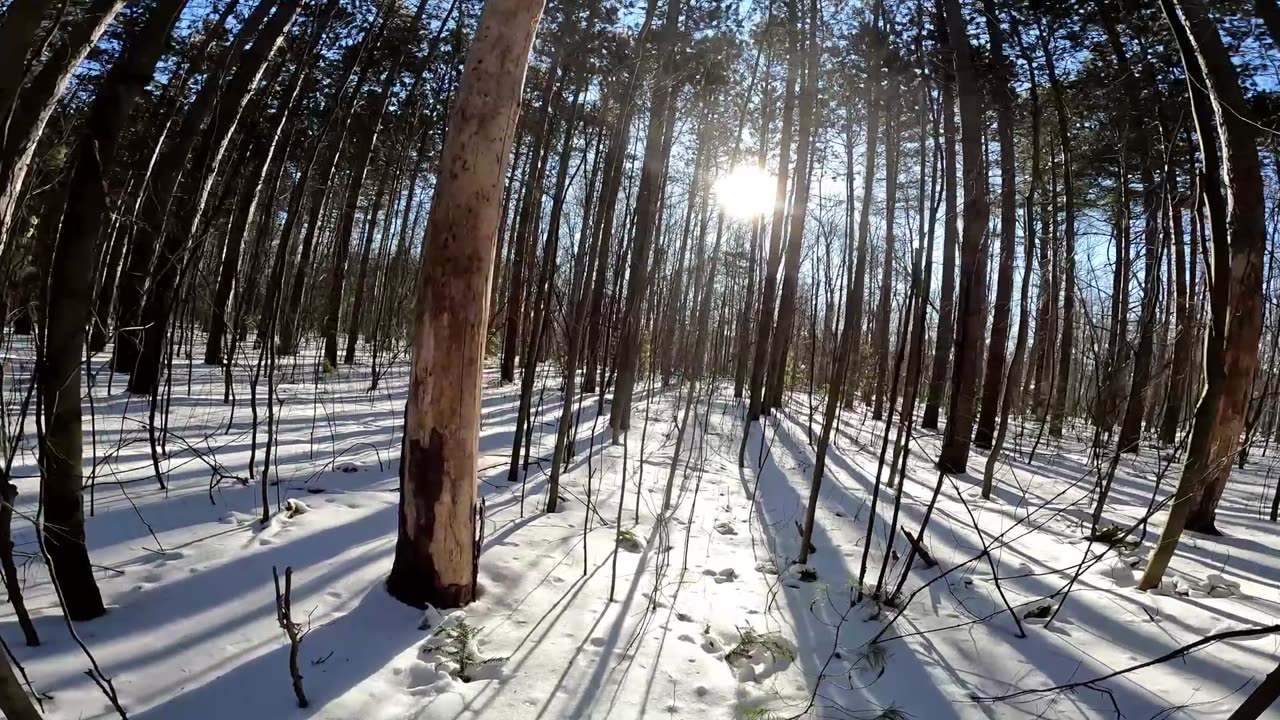 ❄️⛄2025🏂🎿 Winter Wonderland Edition ☀️🌴 Hiking Pinhey Forest Part 4 In Ottawa Canada 🍁☀️⛄