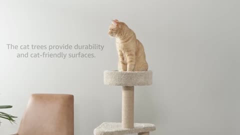 Transform Your Cat’s Playtime with This Indoor Climbing Activity Tower – Scratching Posts Included!