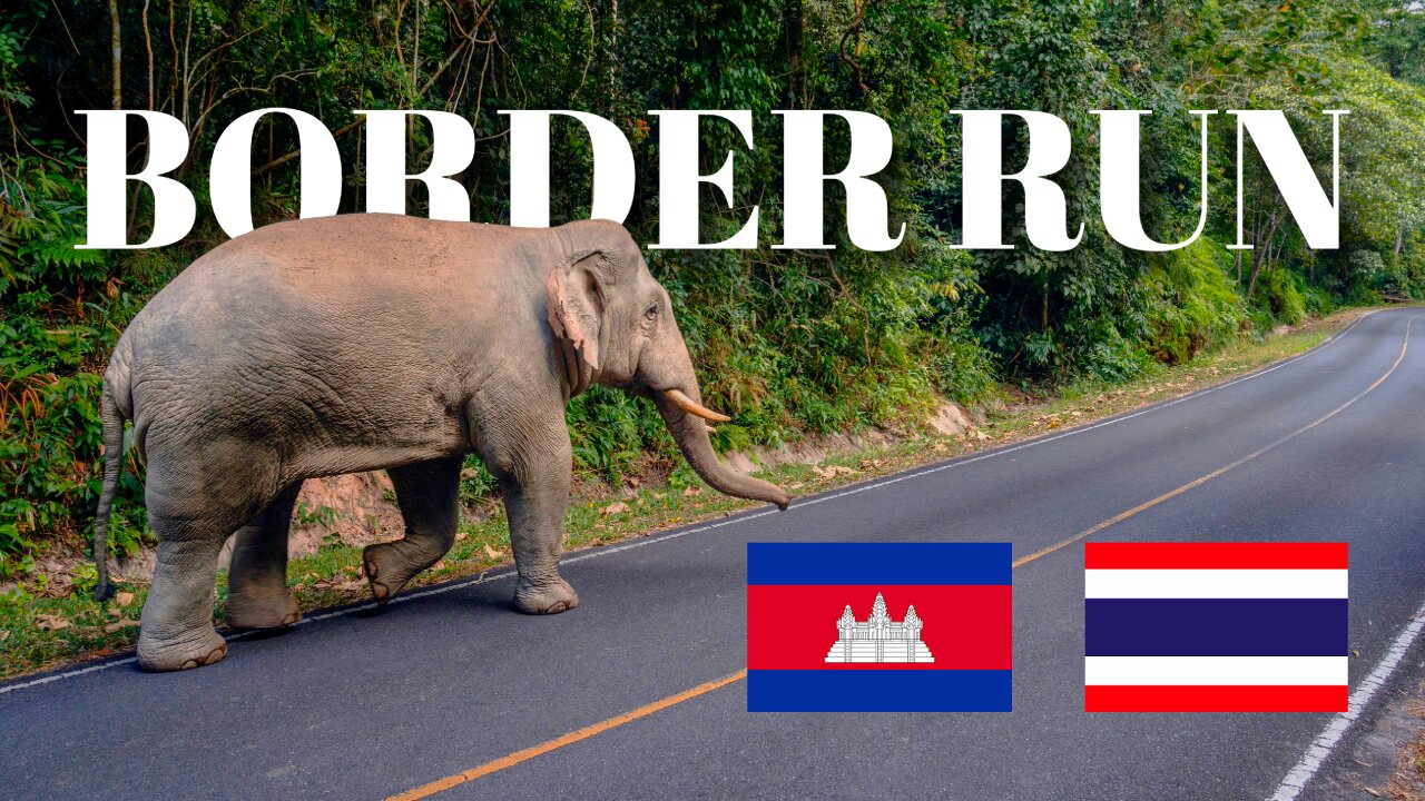 Border Run Nightmare? Crashes & getting chased by Wild Elephant in Thailand 🇹🇭