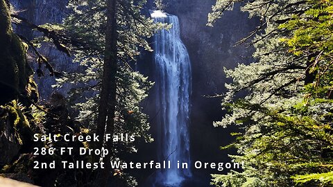 Hiking Lower, Middle & Upper Viewpoints of Salt Creek Falls, 2nd Tallest Waterfall in Oregon! | 4K