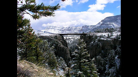 #15. Mark Wisdom - Trail Camera Videos - Eastern Oregon.