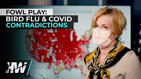 FOWL PLAY: BIRD FLU & COVID CONTRADICTIONS