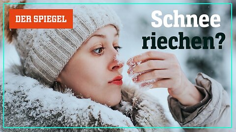 Warum der Wintereinbruch den Geruchssinn triggert – Shortcut | DER SPIEGEL