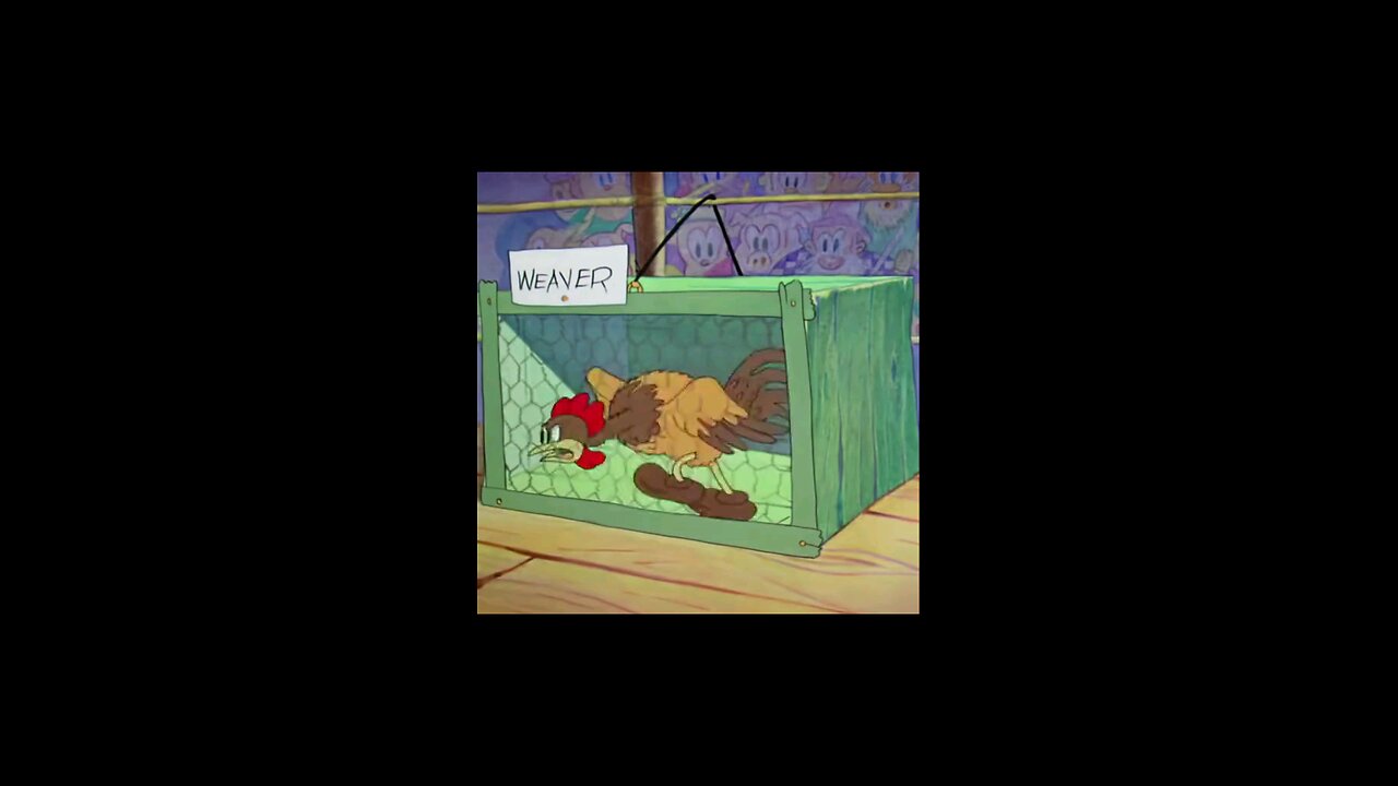 Funny Cartoon Series 14