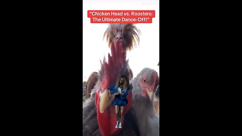 “Chicken Head vs. Roosters: The Ultimate Dance-Off!"