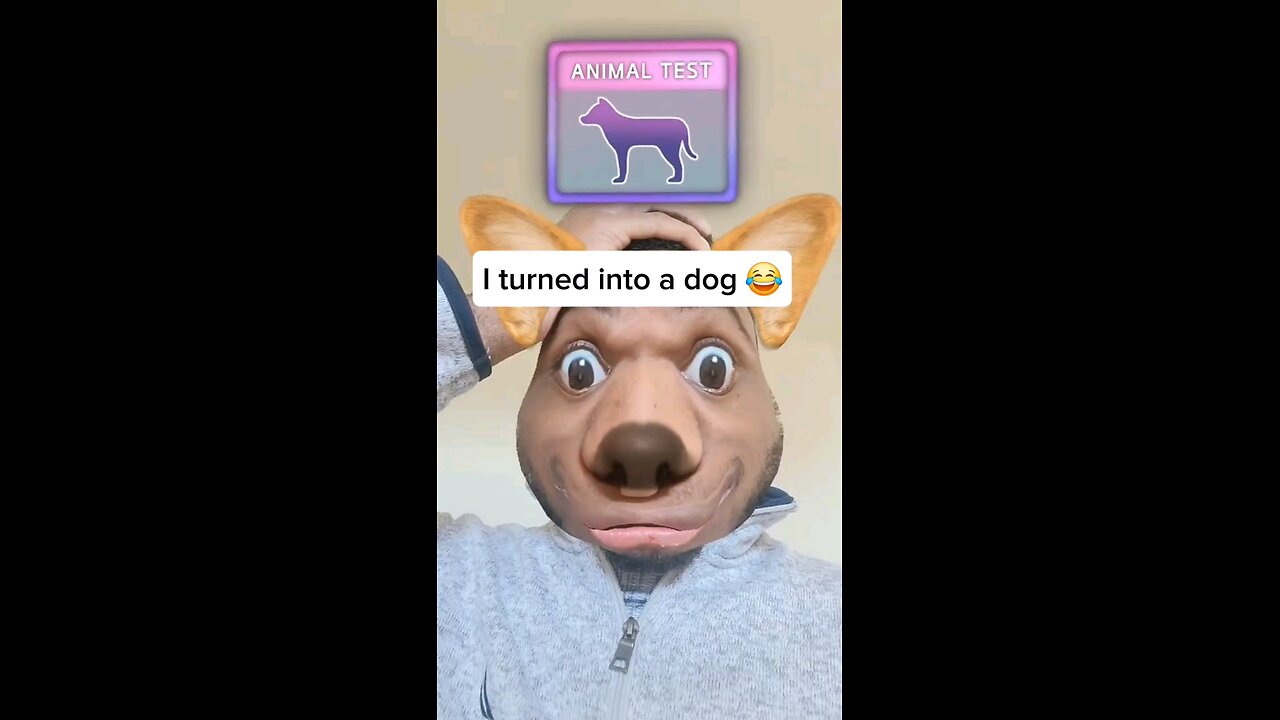 I turned into a dog 😂