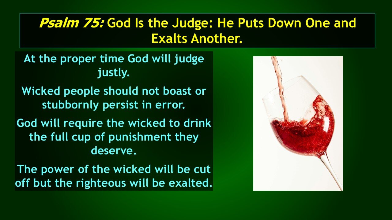 Video Bible Study: The Book of Psalms - #042