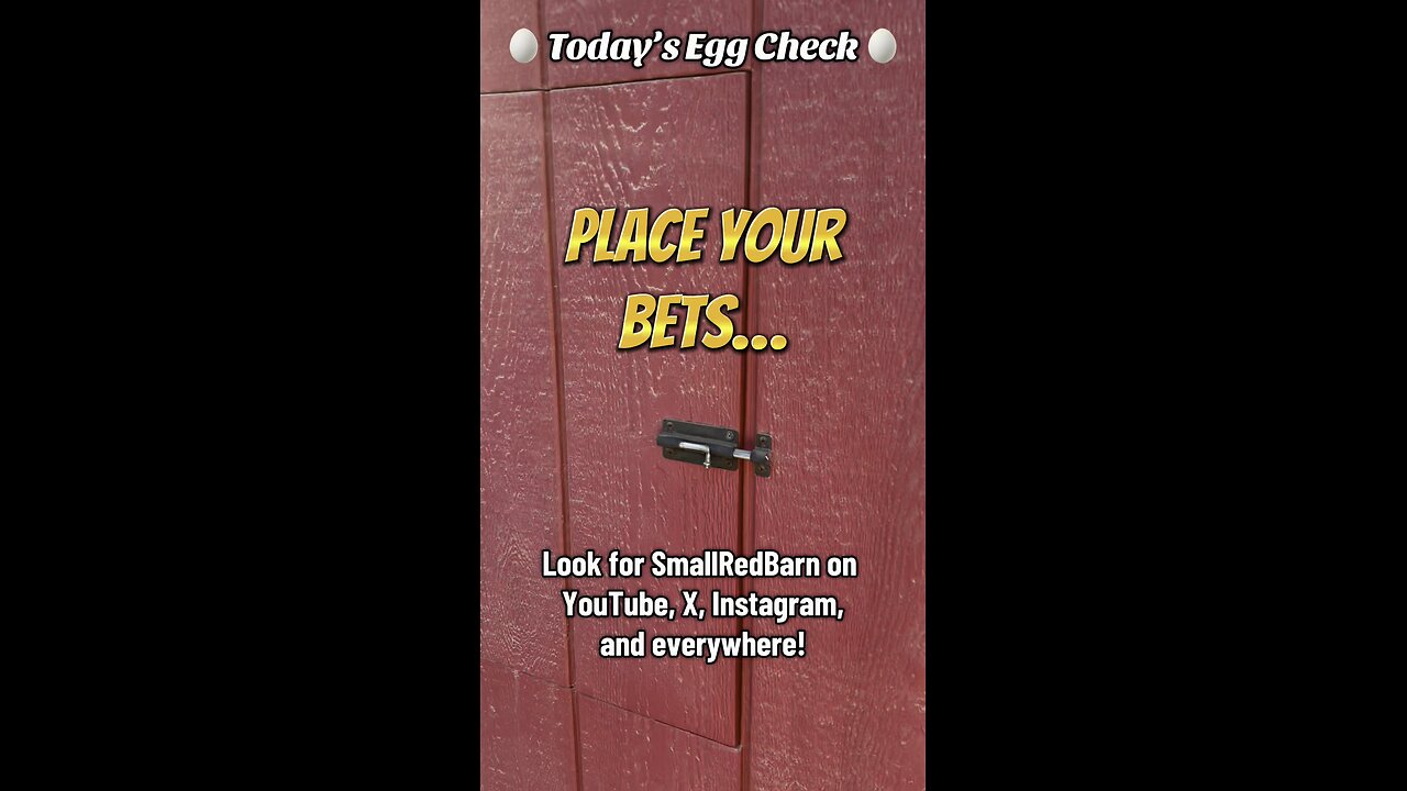 🥚 Today’s Egg Check! 🥚