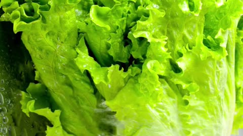 lettuce health benefits #shorts #diet #gardening #farming