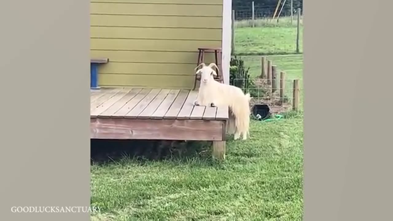 something touching