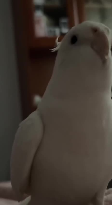 Awesome alarm clock 😊😍