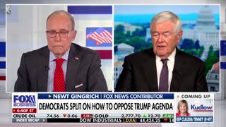 Newt Gingrich unpacks the civil war in the Democratic Party