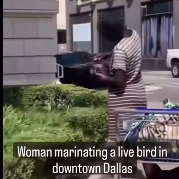 W centrum Dallas w Teksasie nakręcono film, w którym kobieta zjada dzikiego ptaka.