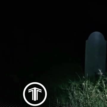 ВСЕГДА ПОМНИТЕ #shrots #tompitai #томпитай