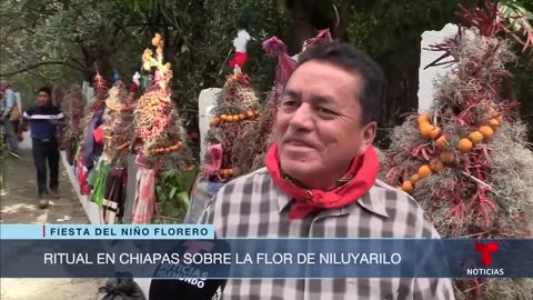 Centenares de hombres y niños recolectan flores como parte de una tradición muy especial en México