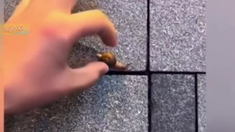 Clips I Found On Internet Part214