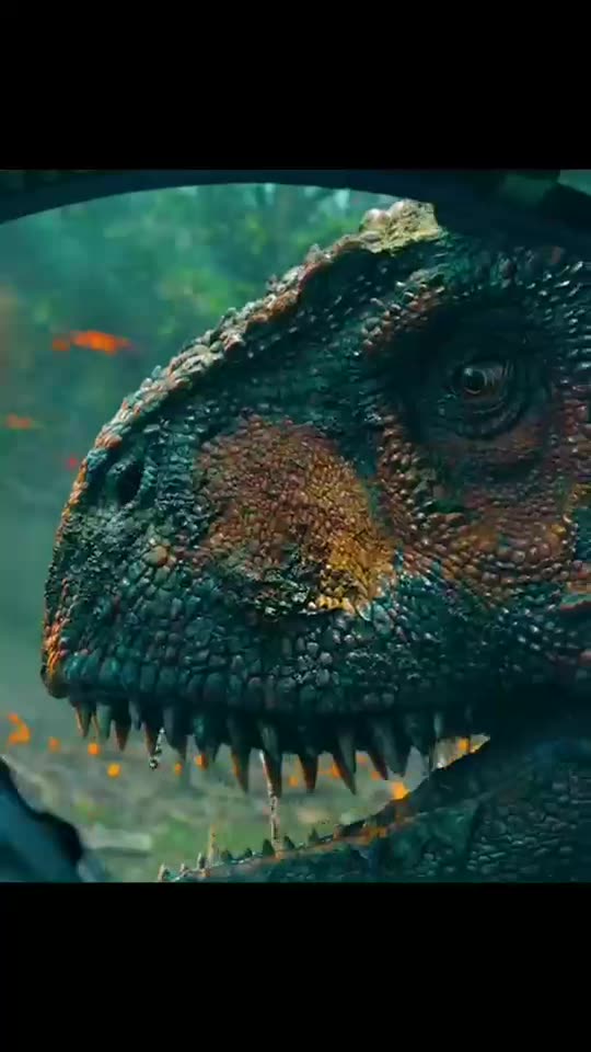 Hollywood new upcoming movie review