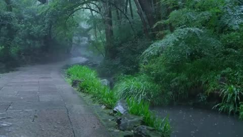 The sound of rain on mountain roads