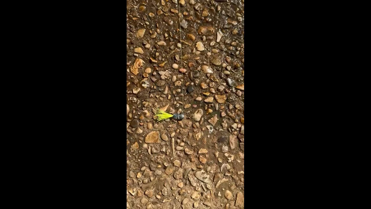 A day was had!