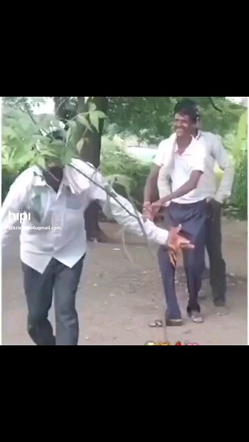 Effect of excessive drinking