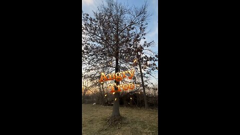 Why is the tree mad?
