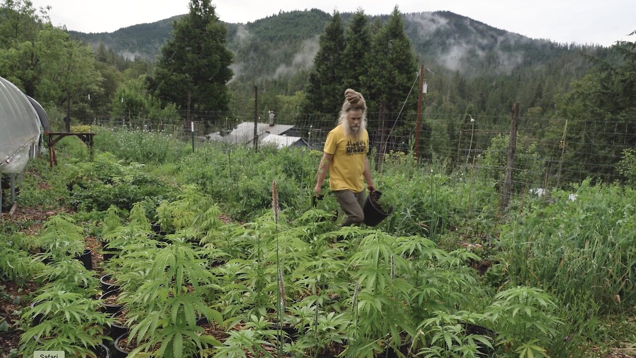 Tending the Garden