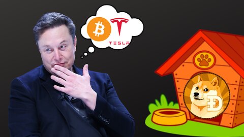 Elon Quietly Stacking Bitcoin?! - (Dogecoin in the Dog House!) | Bitcoin Banter