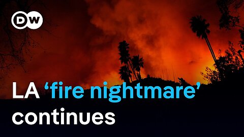 LA fires: Governor orders probe of water problems | DW News