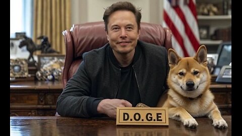 'EPIC': Elon Musk celebrates as DOGE challenges fail in court