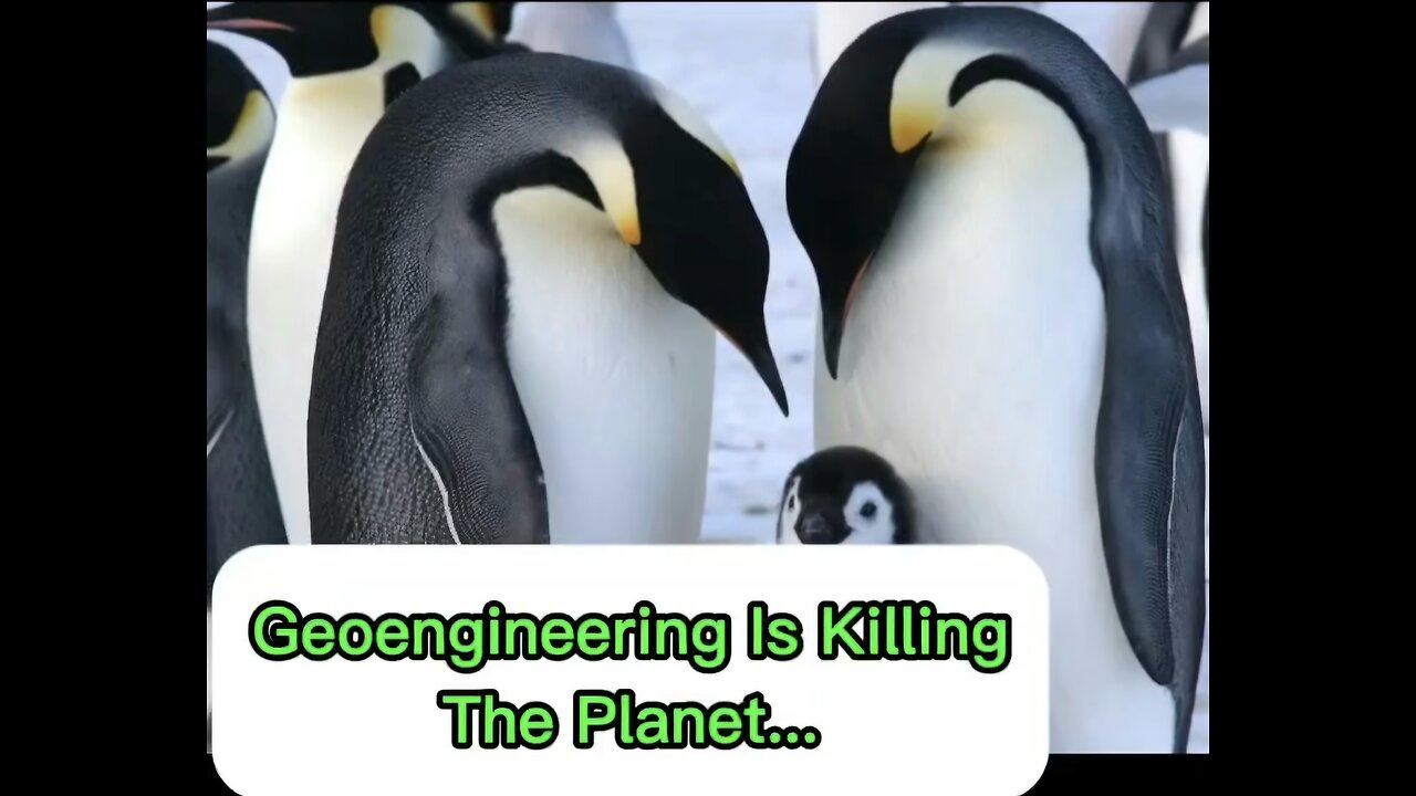 🚨SPECIAL REPORT ⚠️OUR ANIMALS ARE DYING—AND IT’S NOT "CLIMATE CHANGE"!