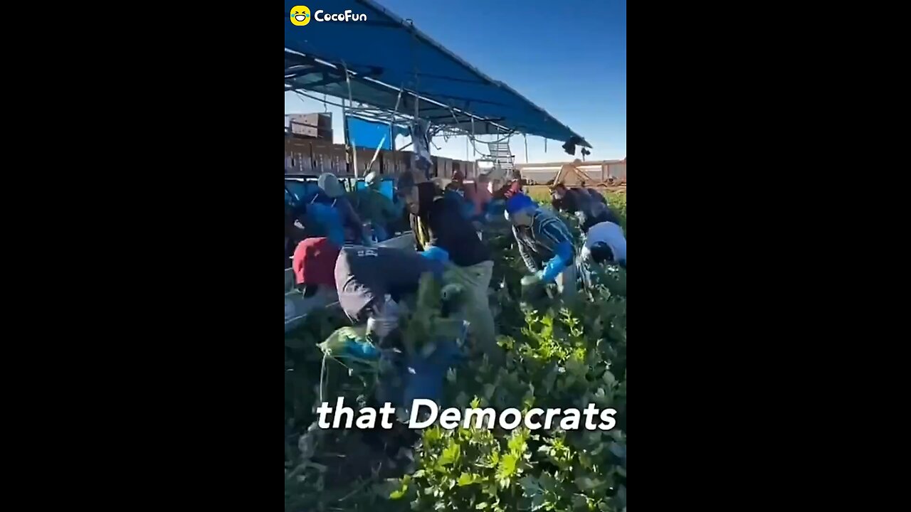 Who’s going to pick the democrats crops if we deport illegals?