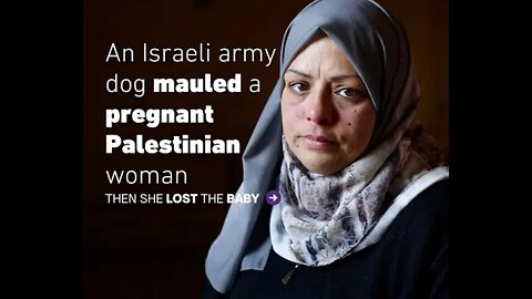 Israeli army combat dog attacked another Palestinian victim a pregnant woman who lost her baby