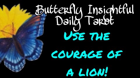 Butterfly Insightful Daily Tarot - practice being courageous!