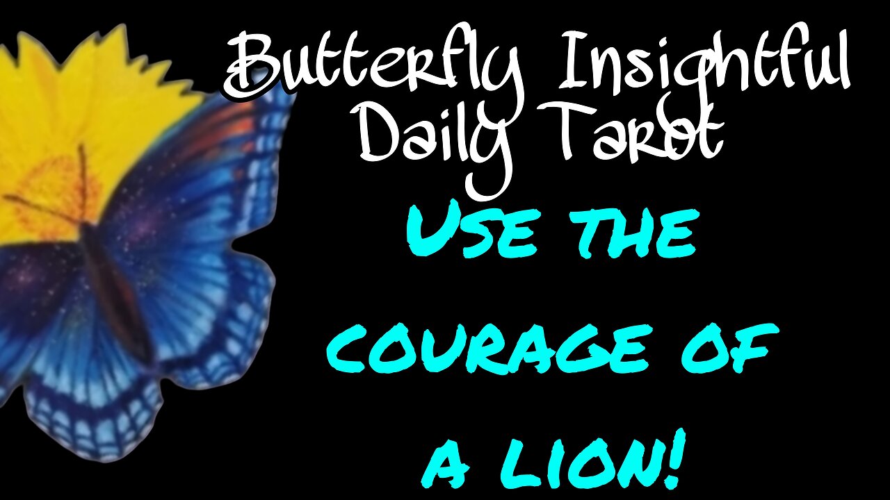 Butterfly Insightful Daily Tarot - practice being courageous!