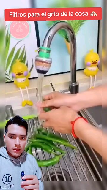 Filtros para grifo de la casa