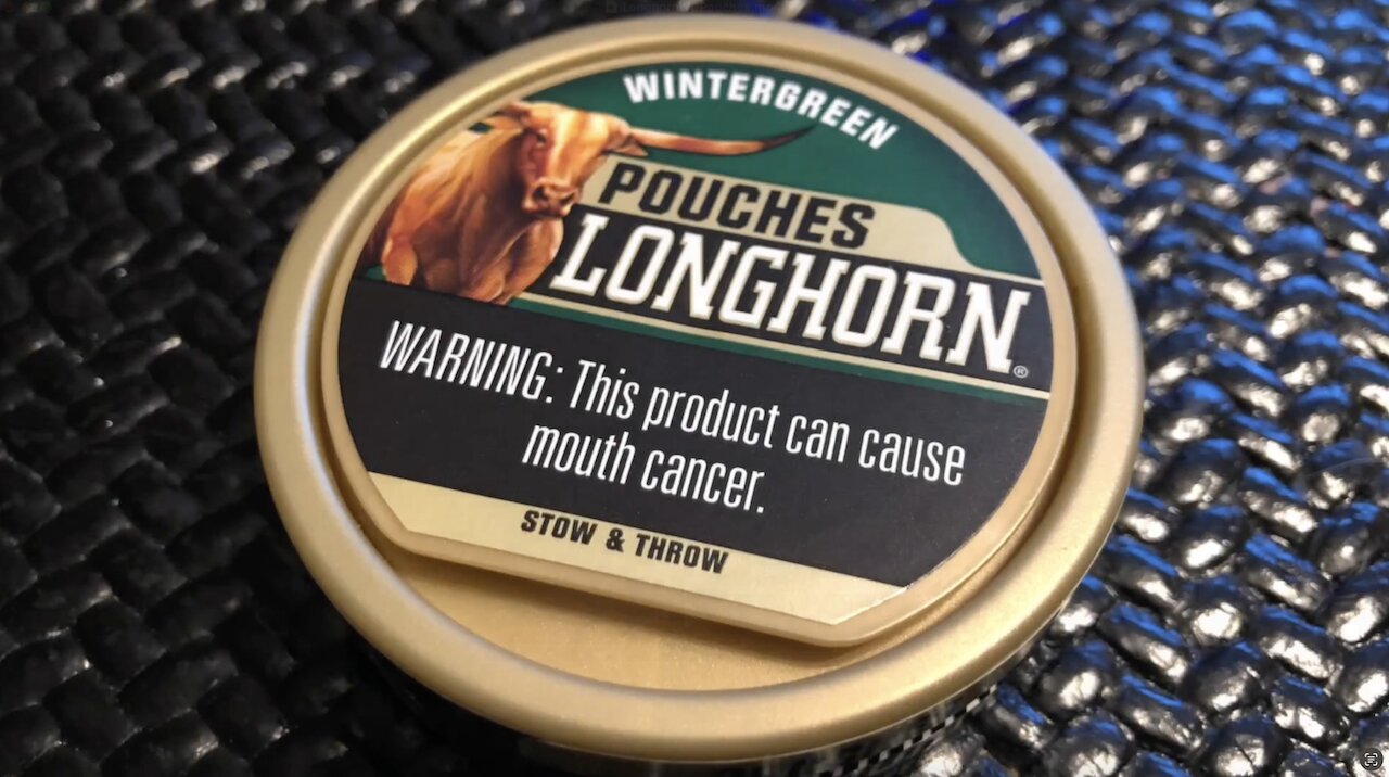 Longhorn Wintergreen Pouches Dip Review