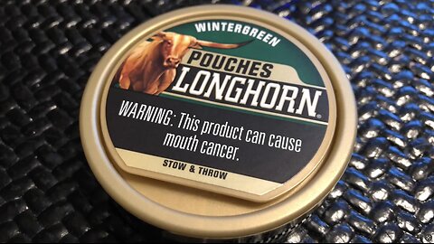 Longhorn Wintergreen Pouches Dip Review