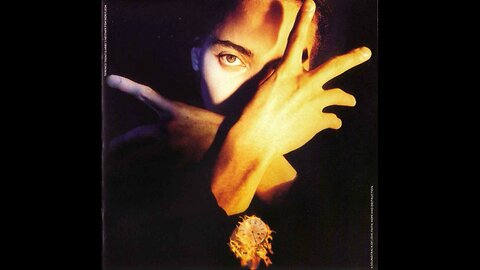 Terence Trent D'Arby - Terence Trent D'Arby's Neither Fish Nor Flesh A Soundtrack... (UK) 1989 CD