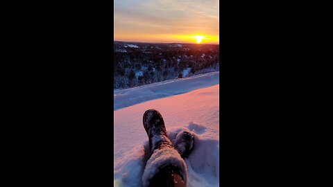 Winter Forest #sunset