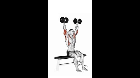 Dumbbell Seated Front and Back Tate Press Exercise.